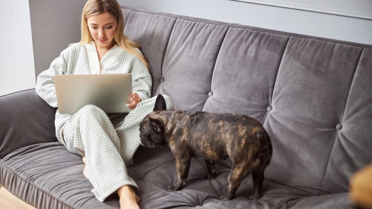 Help, Why Does My Dog Keep Sniffing My Private Area?