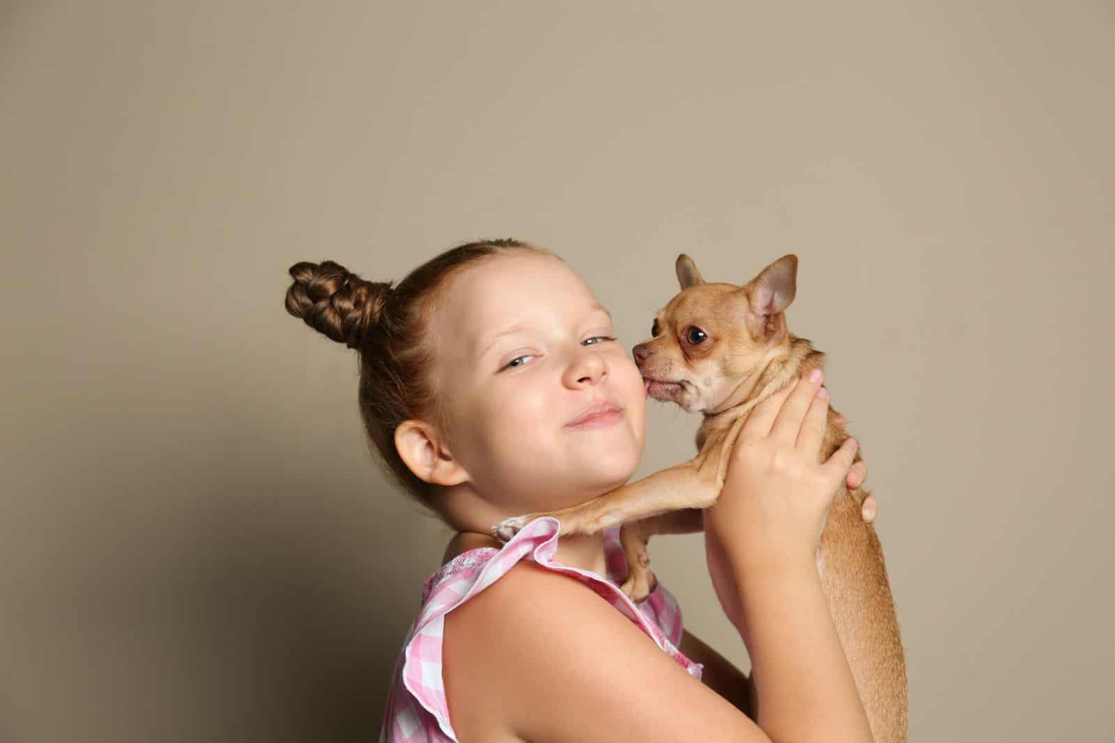 Little girl with her Chihuahua dog on grey background