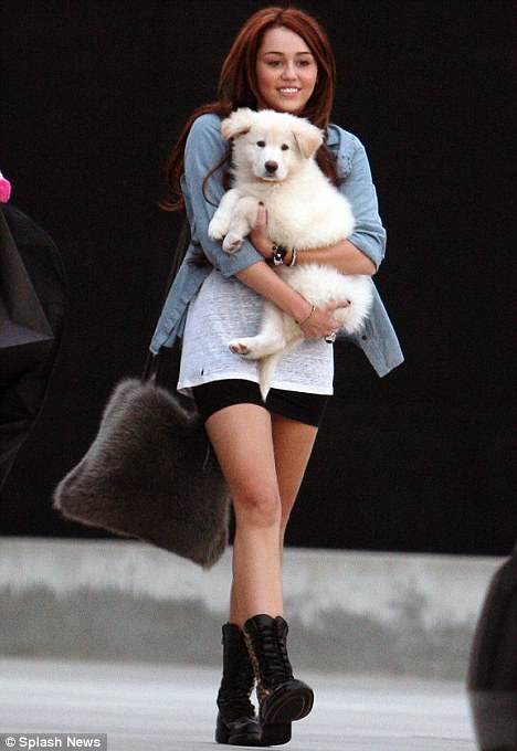 Miley Cyrus in her arms with a dog