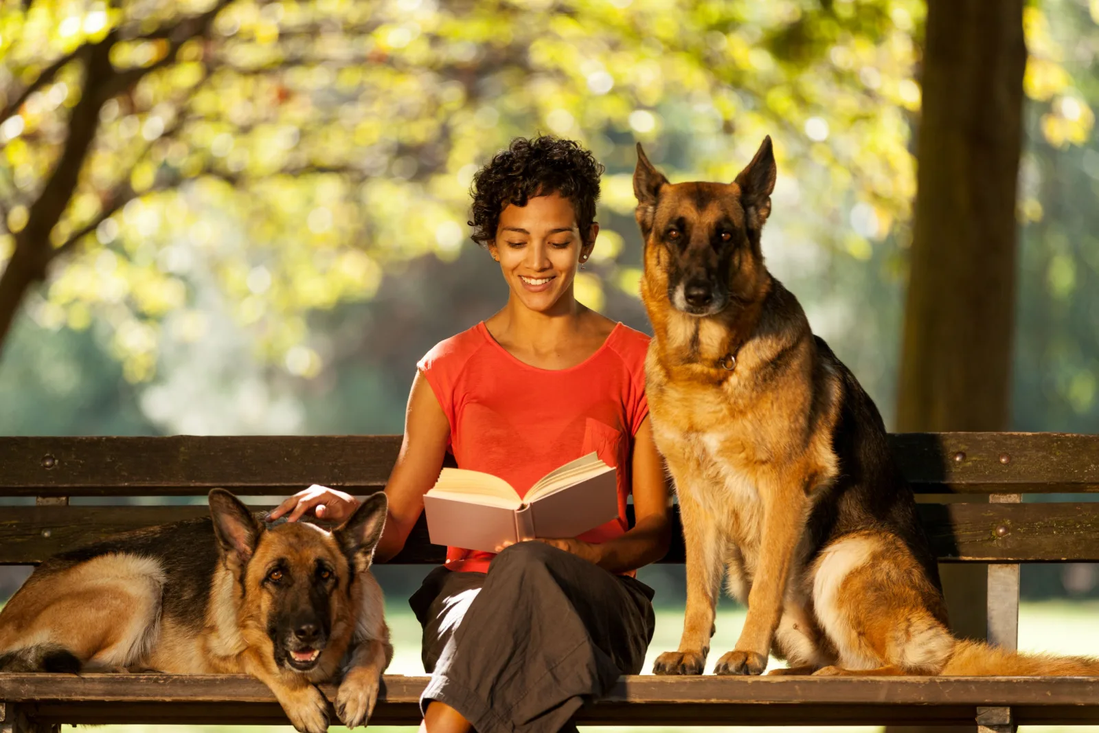 Photo of woman sitting on a bench with two german shepherds