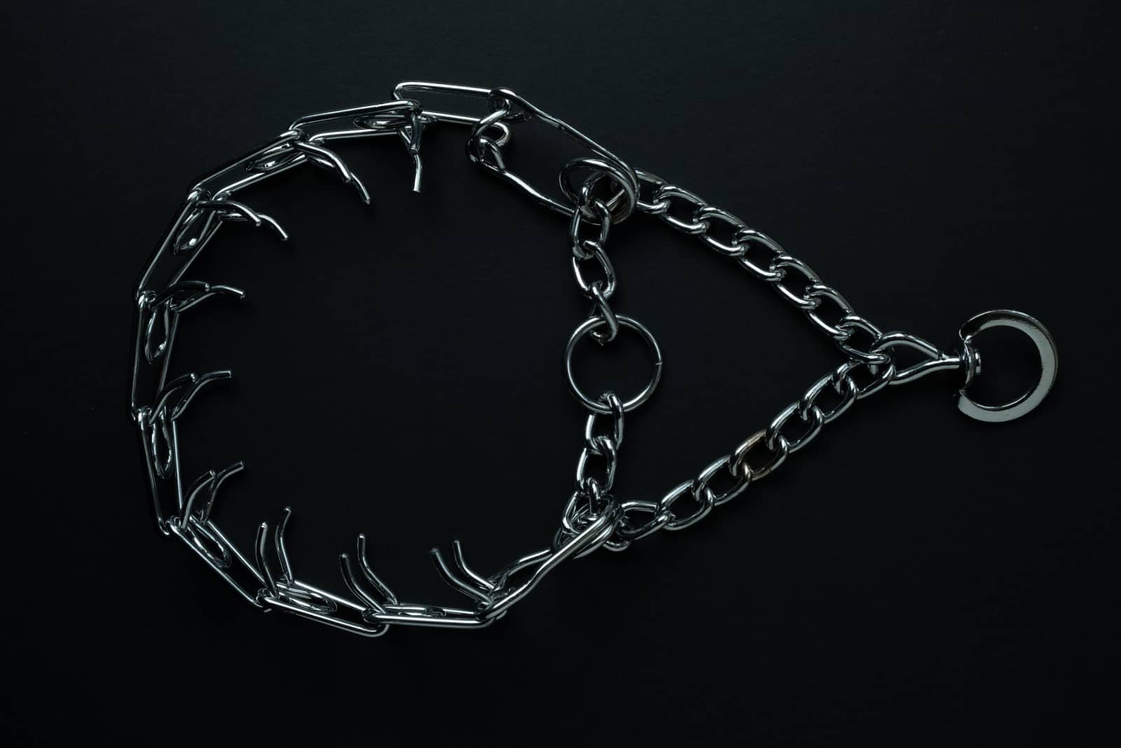 Prong collar for dog on black background
