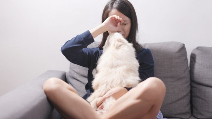 Q And A: Why Does My Dog Lick Me When I Cry?