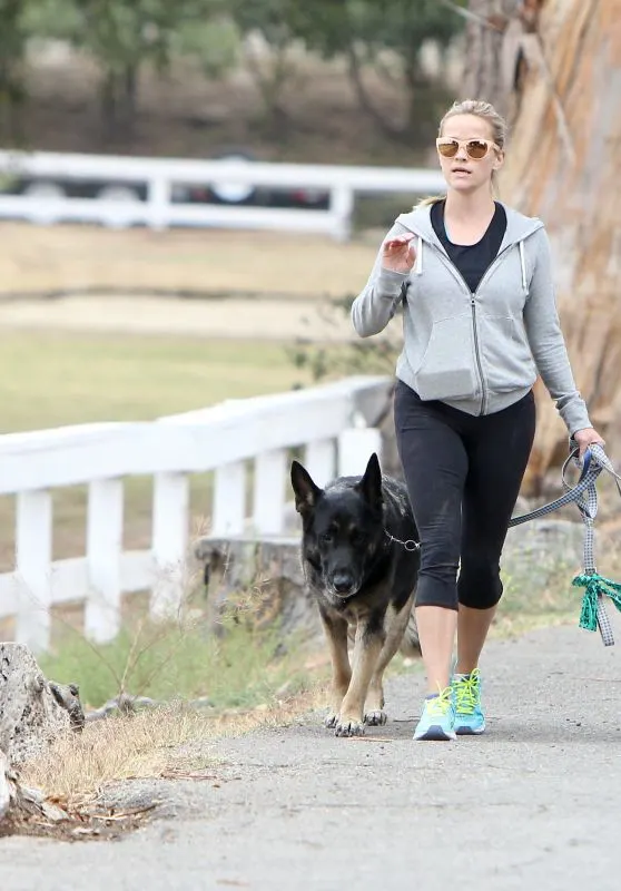 Reese Witherspoon walks her German Shepherd