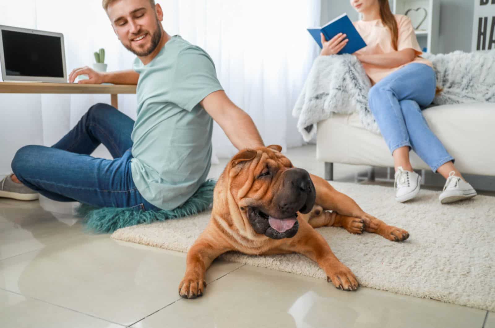 shar pei lying on the floor beside his owners