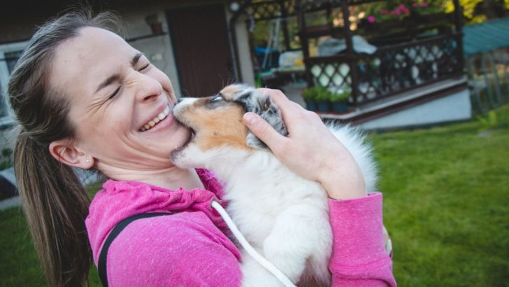 Why Does My Aussie Bite So Much? 7 Reasons And 3 Bite Types