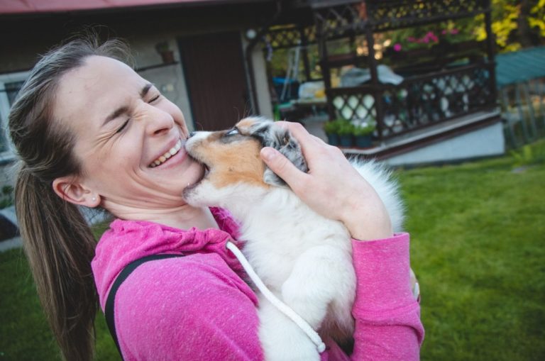 aussie puppy bites woman's face and plays