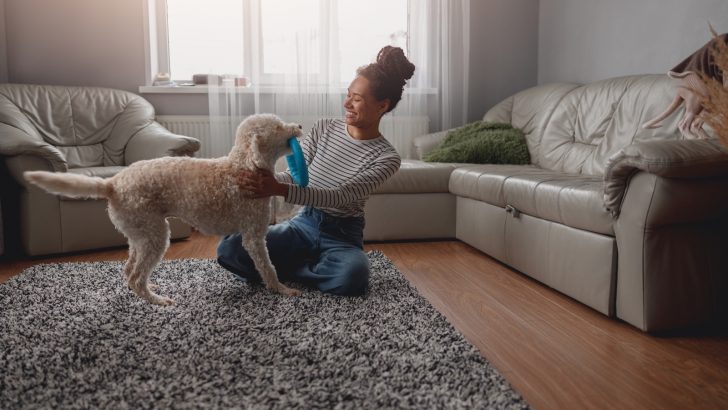 Why Does My Dog Not Lick Me? 5 Reasons To Ease Your Mind
