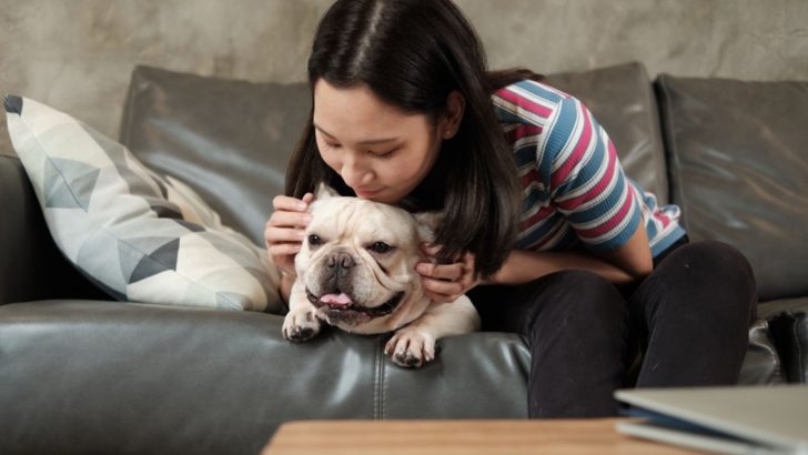 Why Does My French Bulldog Stink? 11 Possible Reasons