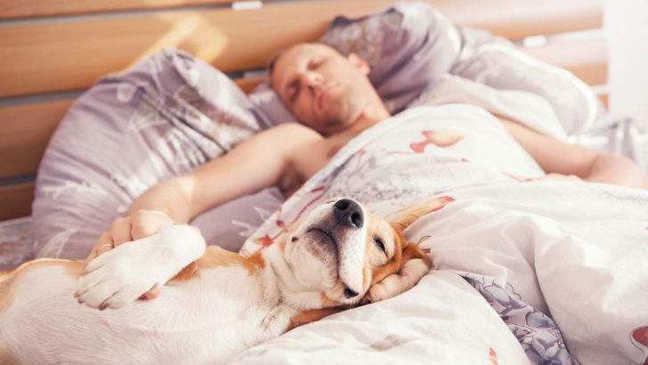 6 Reasons Why Sharing A Bed With Your Dog Might Not Be A Good Idea