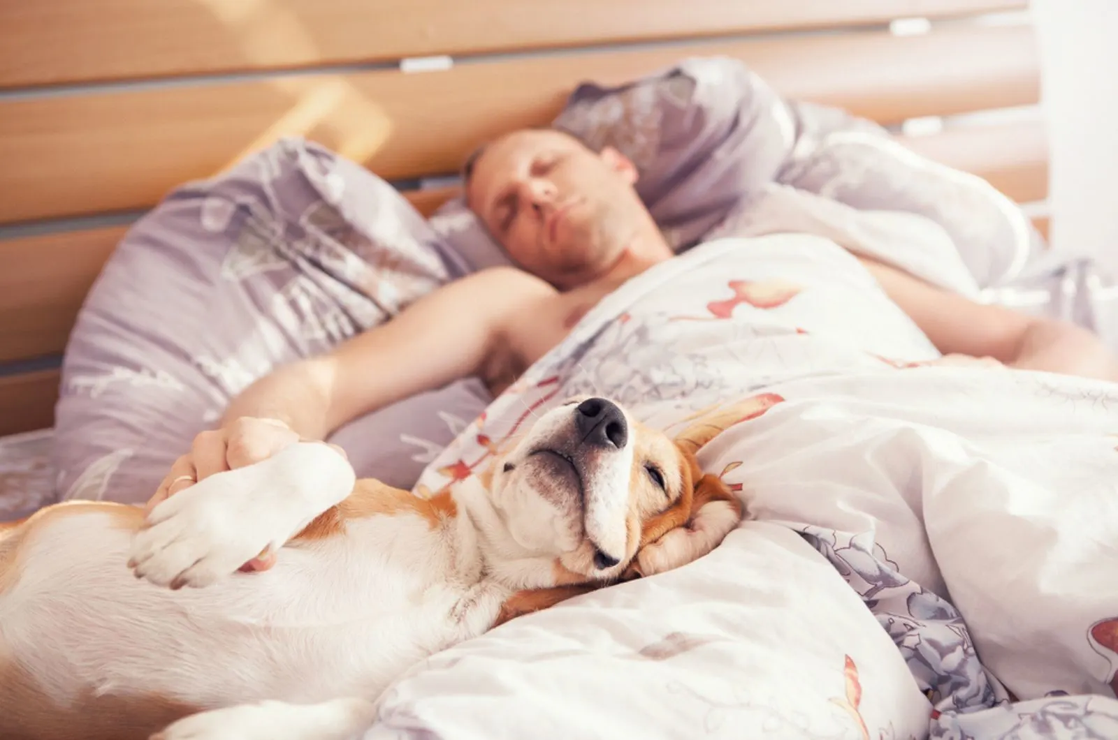 dog sleeping with his owner