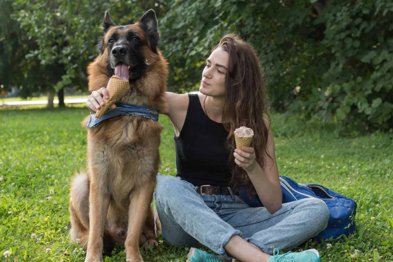 Young woman is feeding the dog an ice-cream, in the park, on a hot summer day.