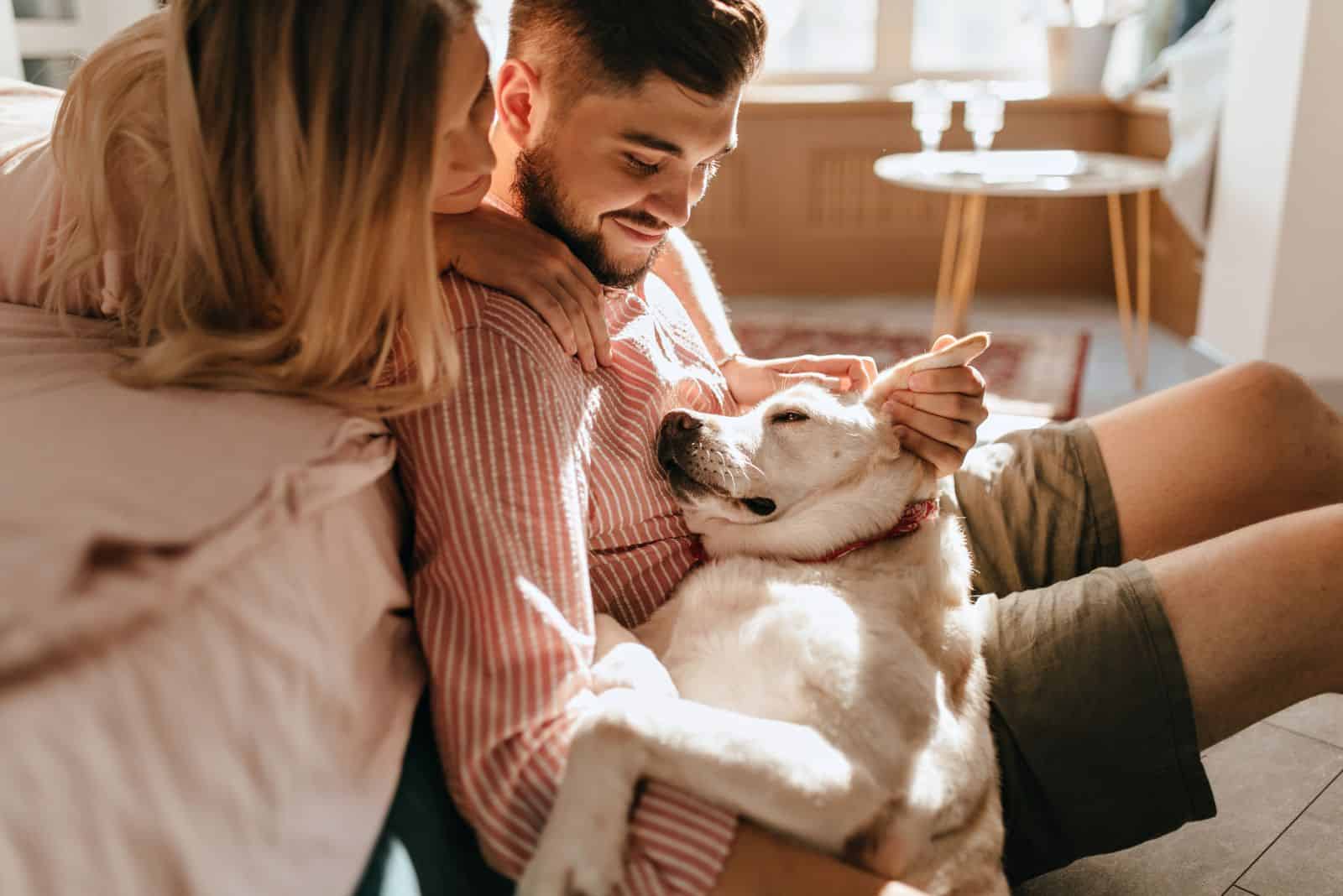 a dog rubs its face against a man while sitting on the floor