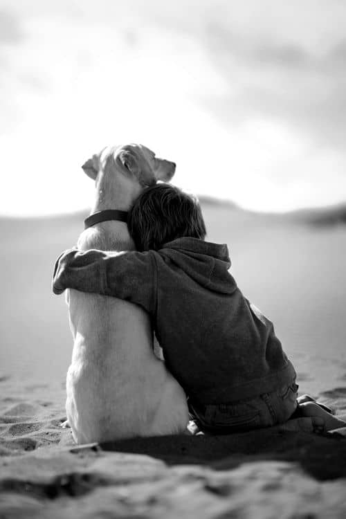 boy hugging his dog on the beach