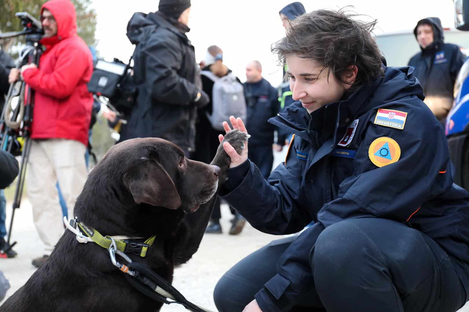 brave rescue dog Gizmo from Croatia