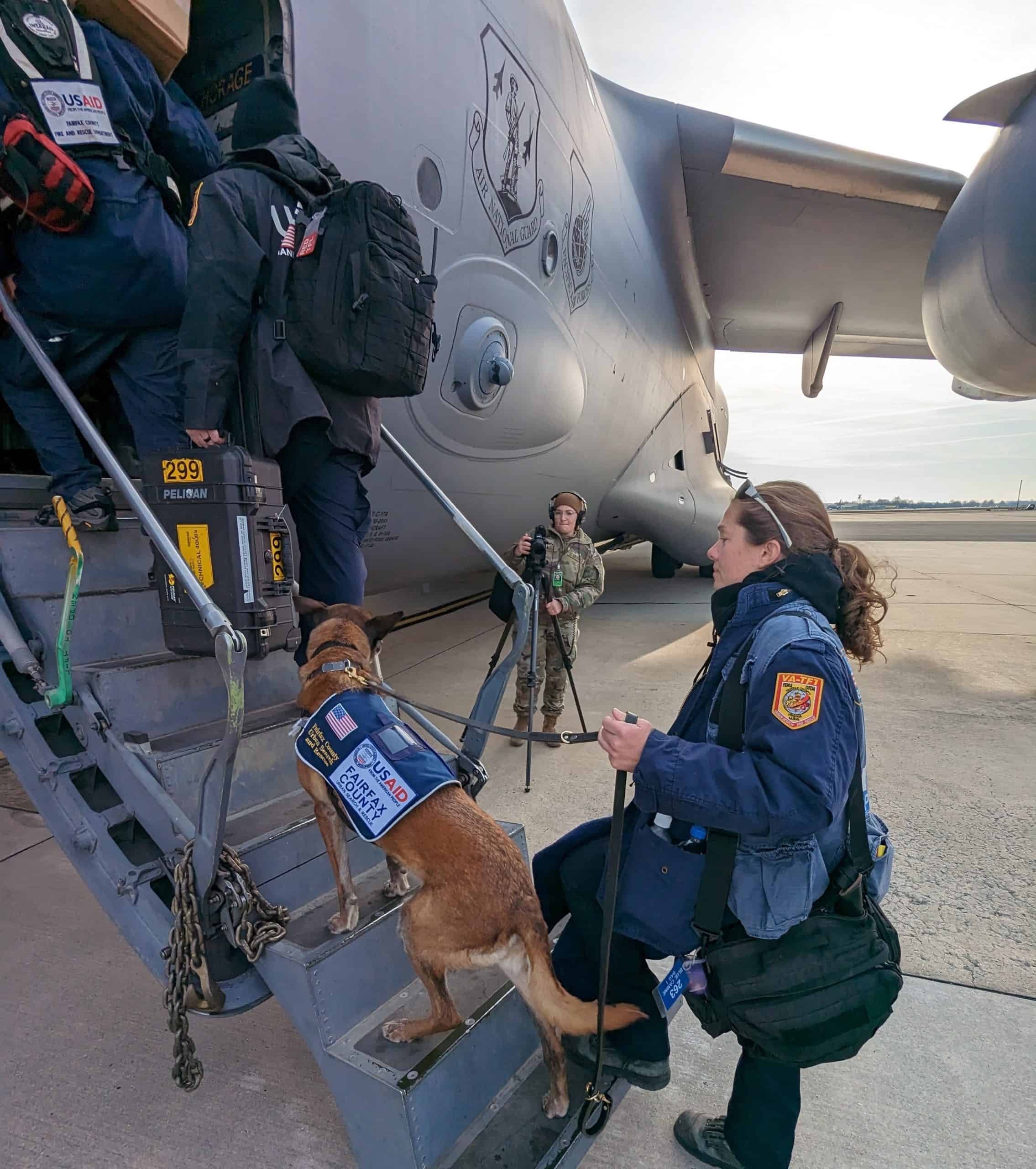 brave search and rescue dogs from the USA