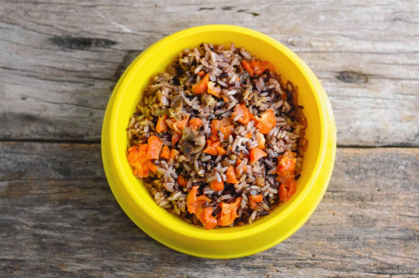 brown rice in a yellow bowl for dog