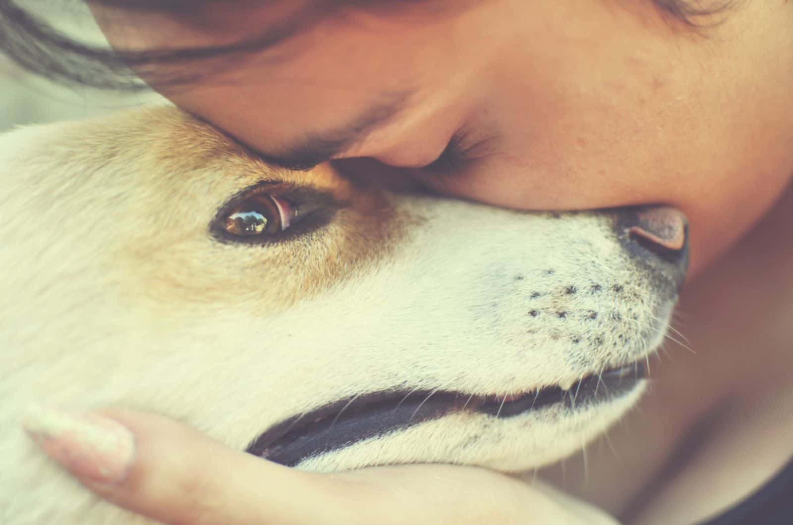 dog and woman cuddling and comforting each other