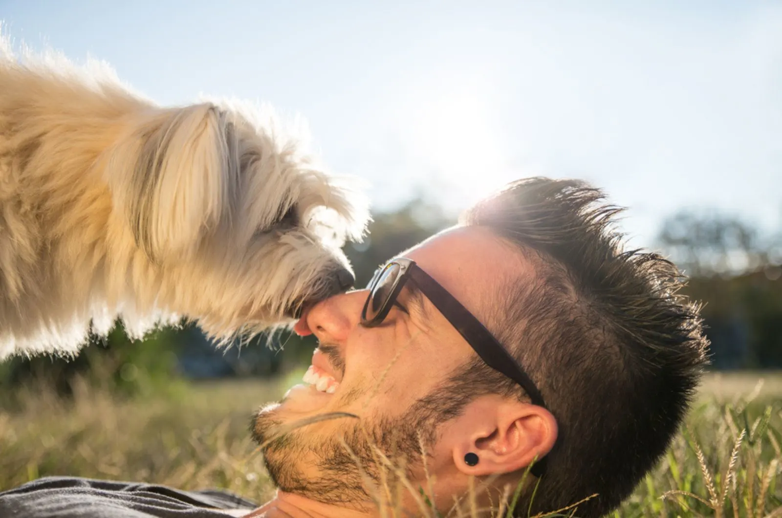 dog and young man having fun in a park