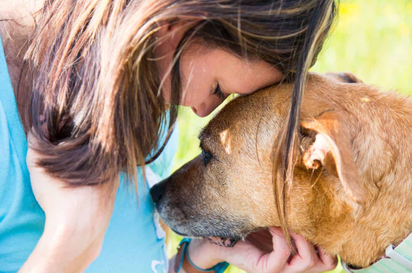 dog consoles a woman and cuddling with her