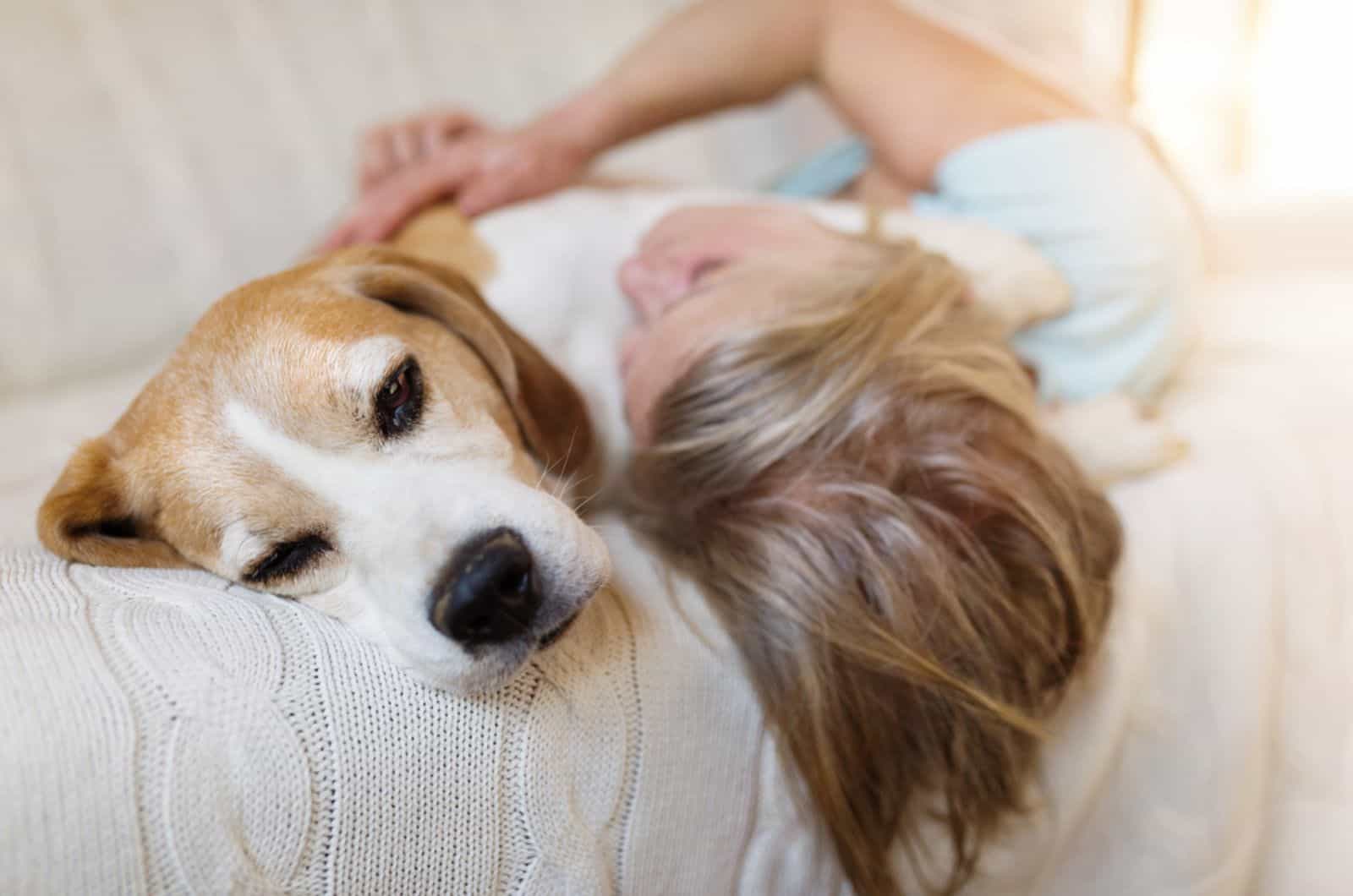 dog lying beside its owner on the couch