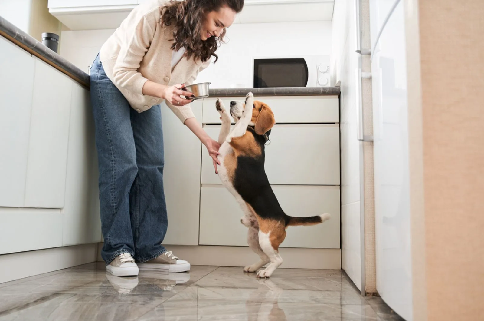 female owner feeding dog at the kitchen