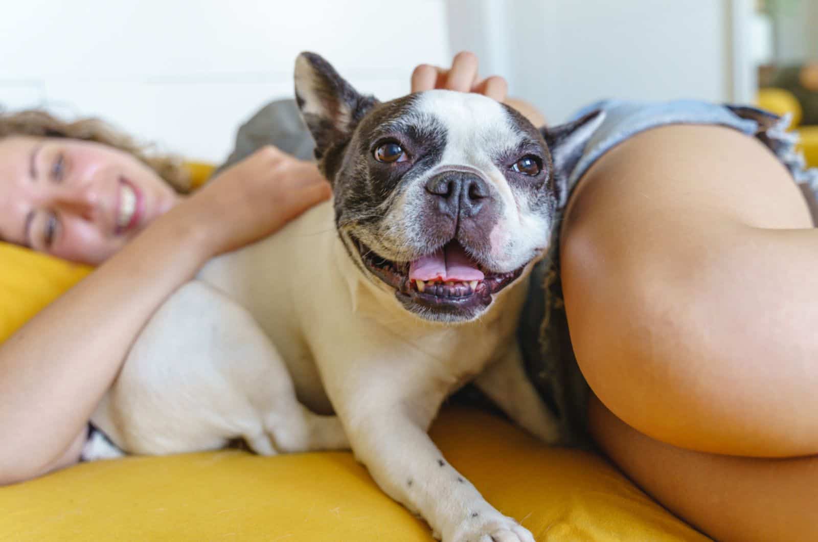 french bulldog cuddling with his owner on the bed