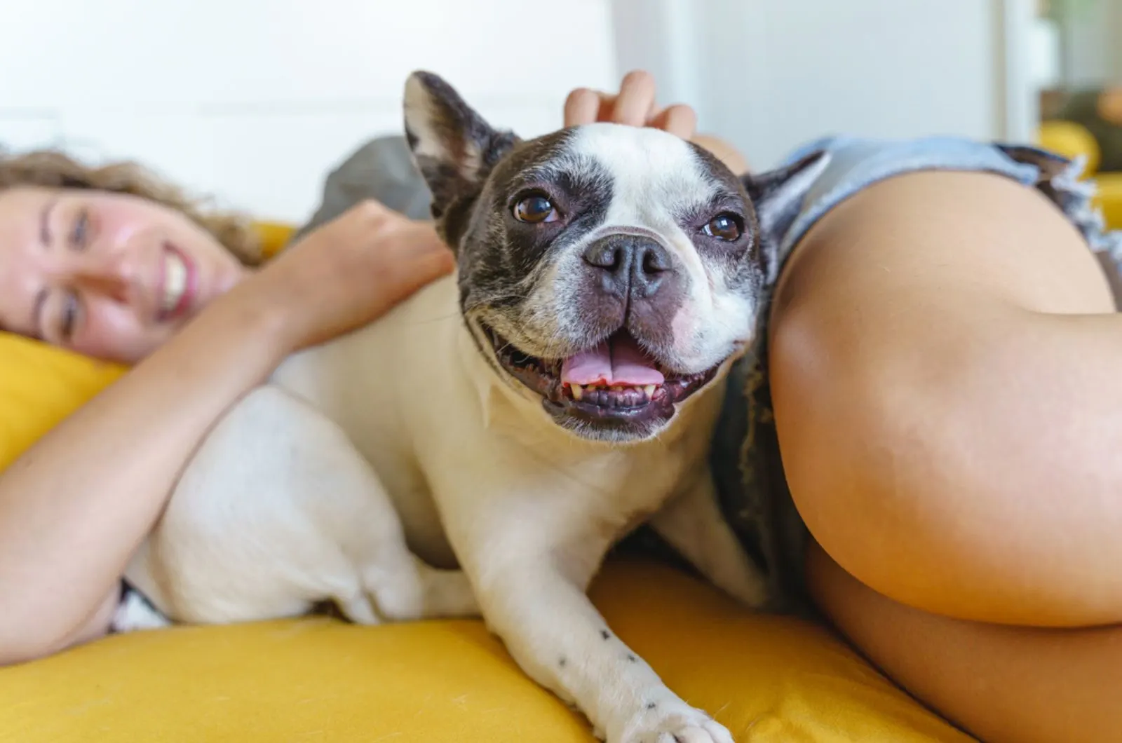 french bulldog cuddling with his owner on the bed