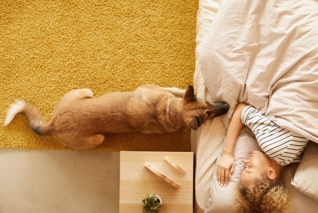 german shepherd leaning on the bed while the little girl sleeps