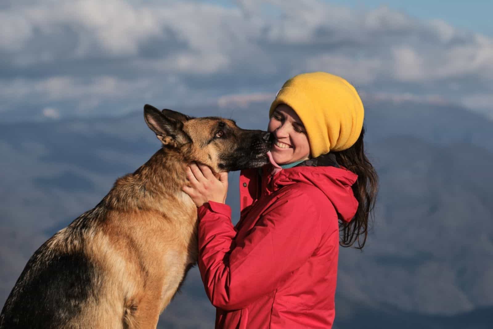 german shepherd licking his owner face