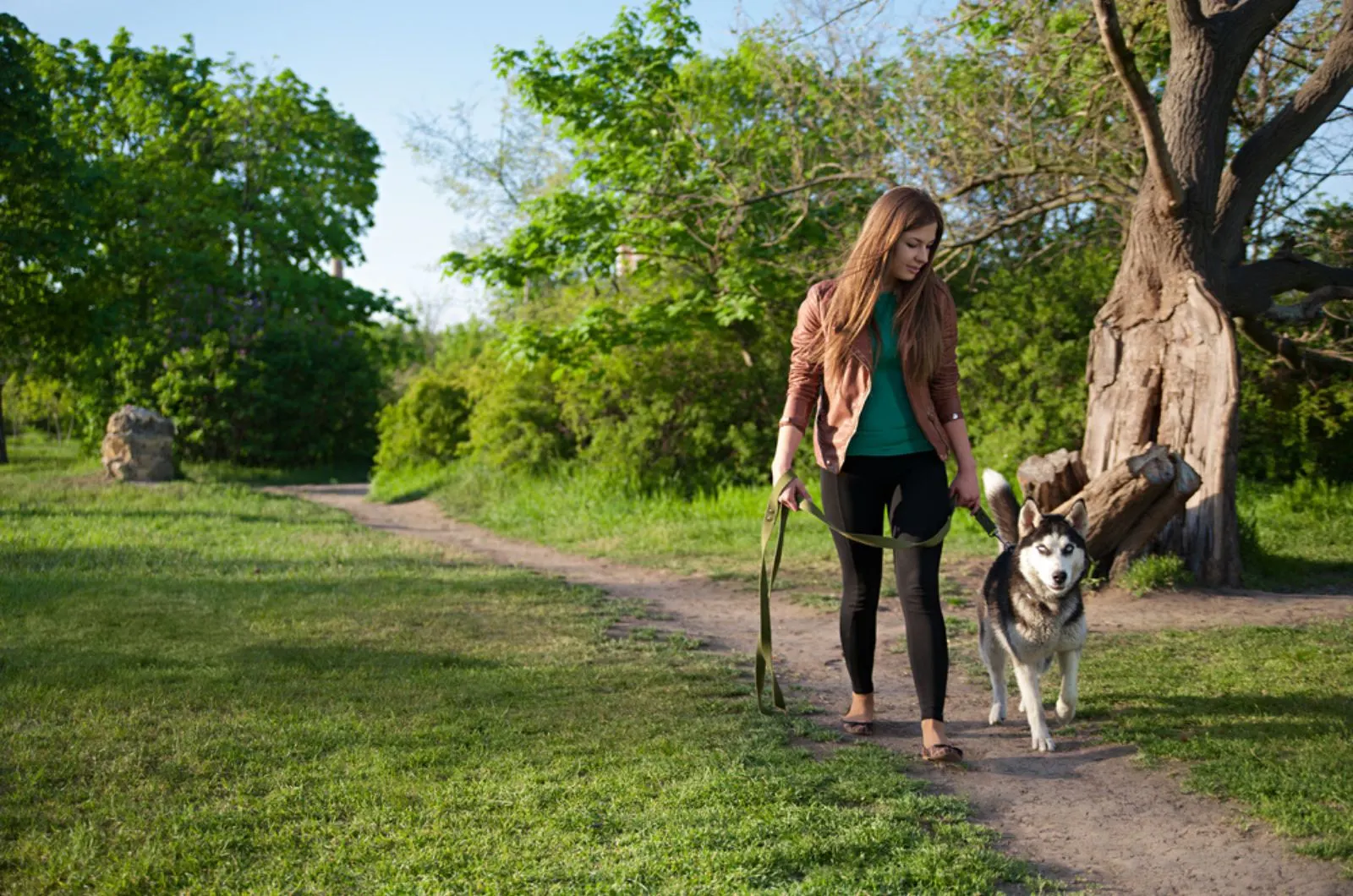 girl is walking with her husky in the park