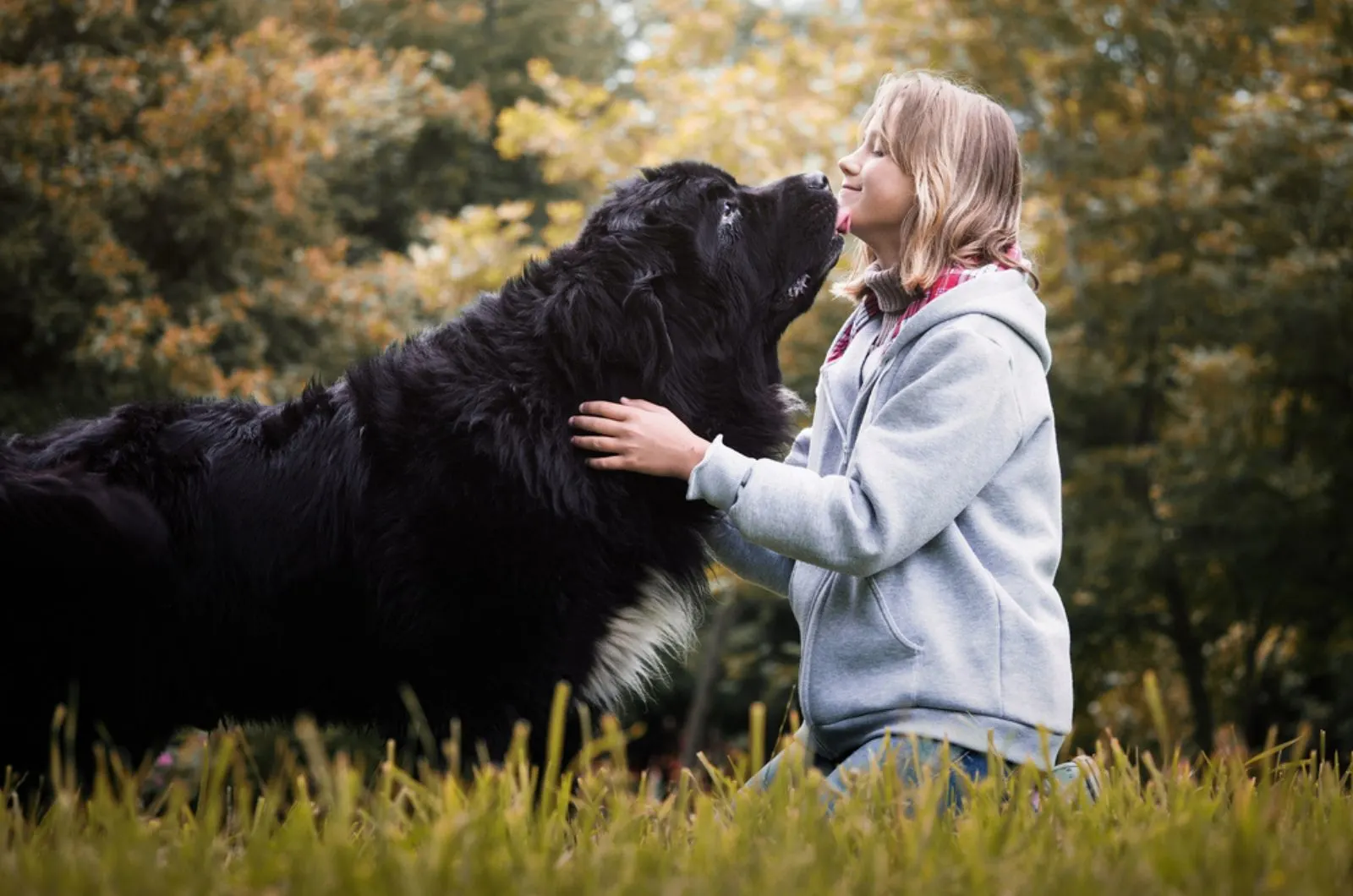 girl with newfoundland dog in the park