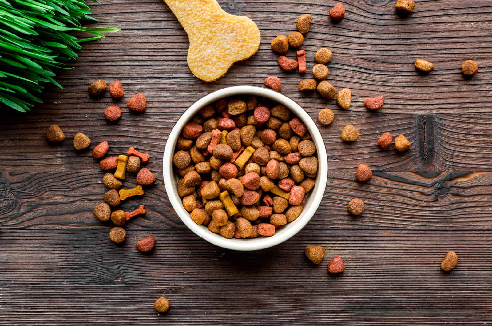 grain dog food on table