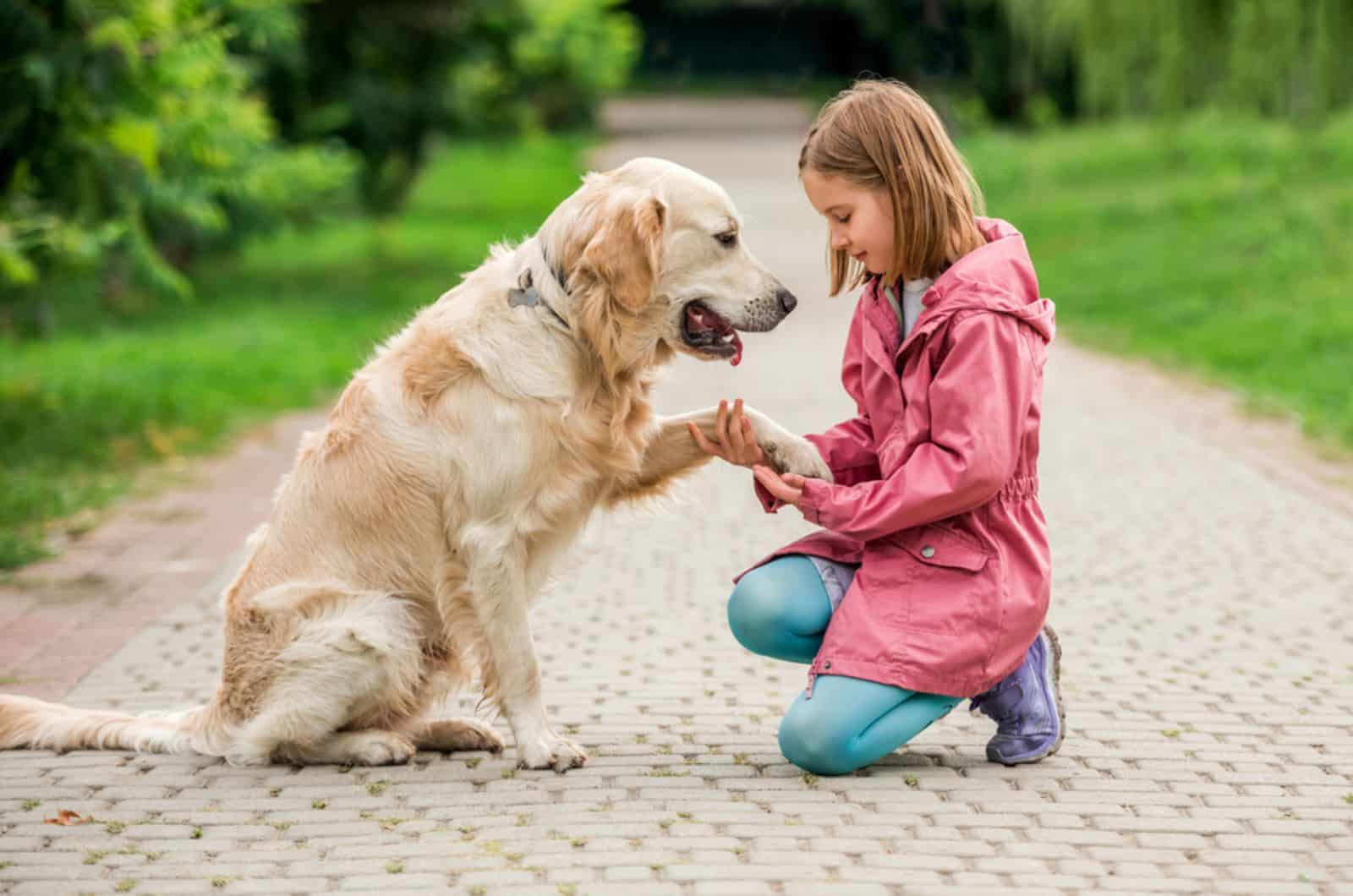little girl holding dog's paw in the park
