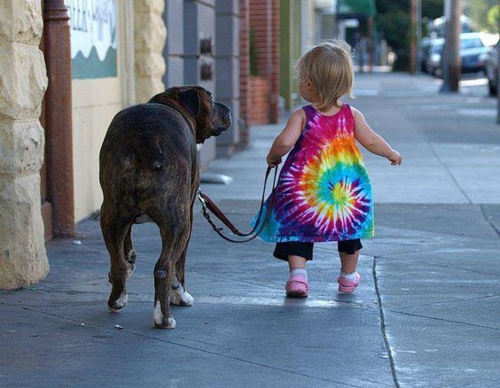 little girl walking her dog on a leash