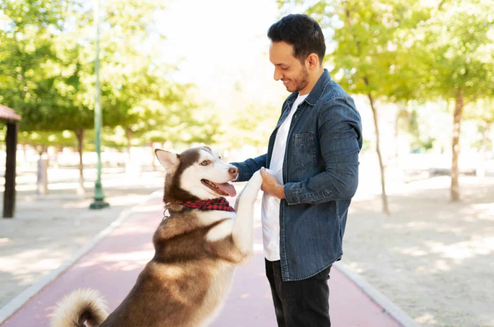 man playing with a furry husky in the park