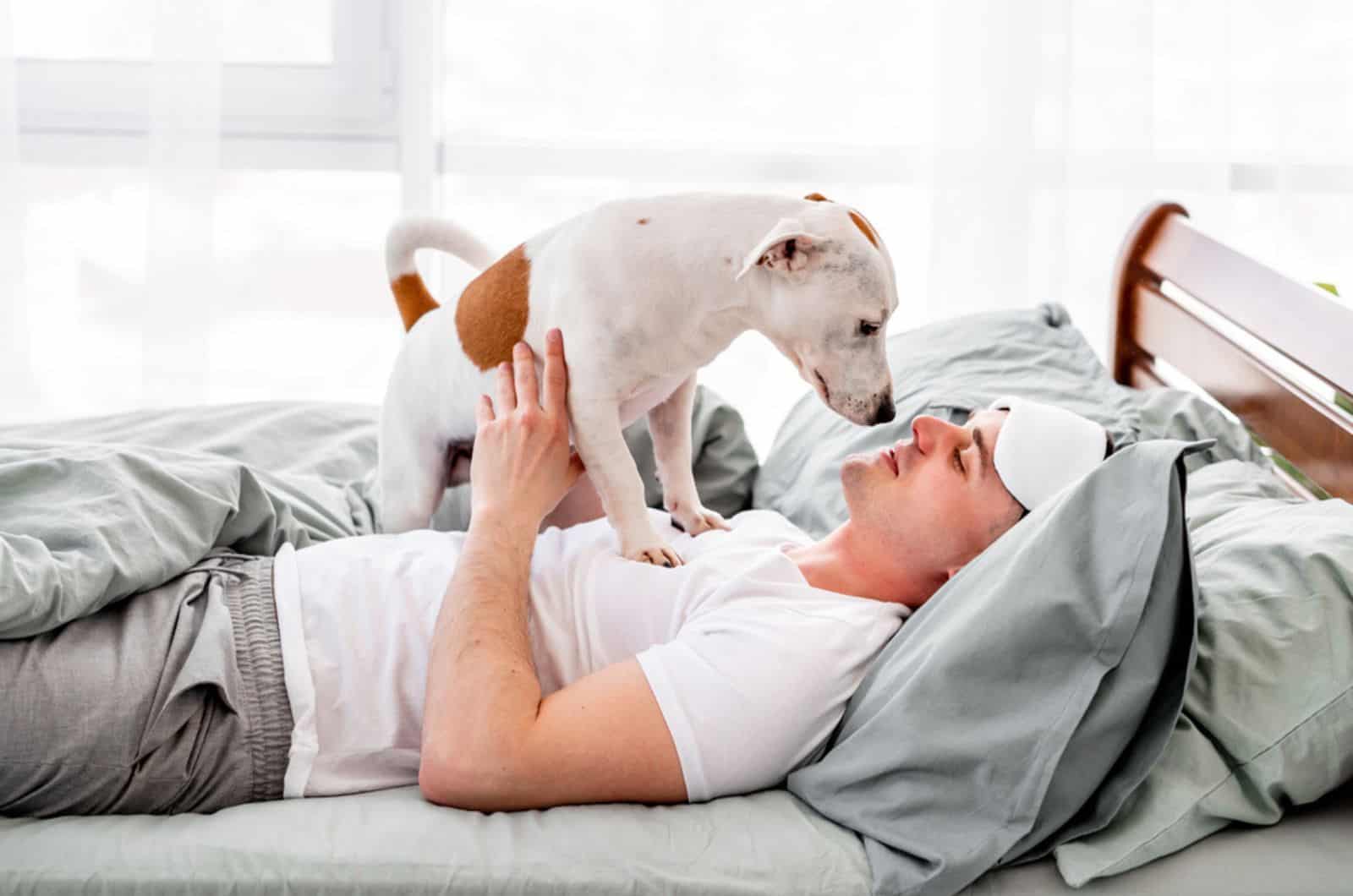 man playing with dog in  the bed