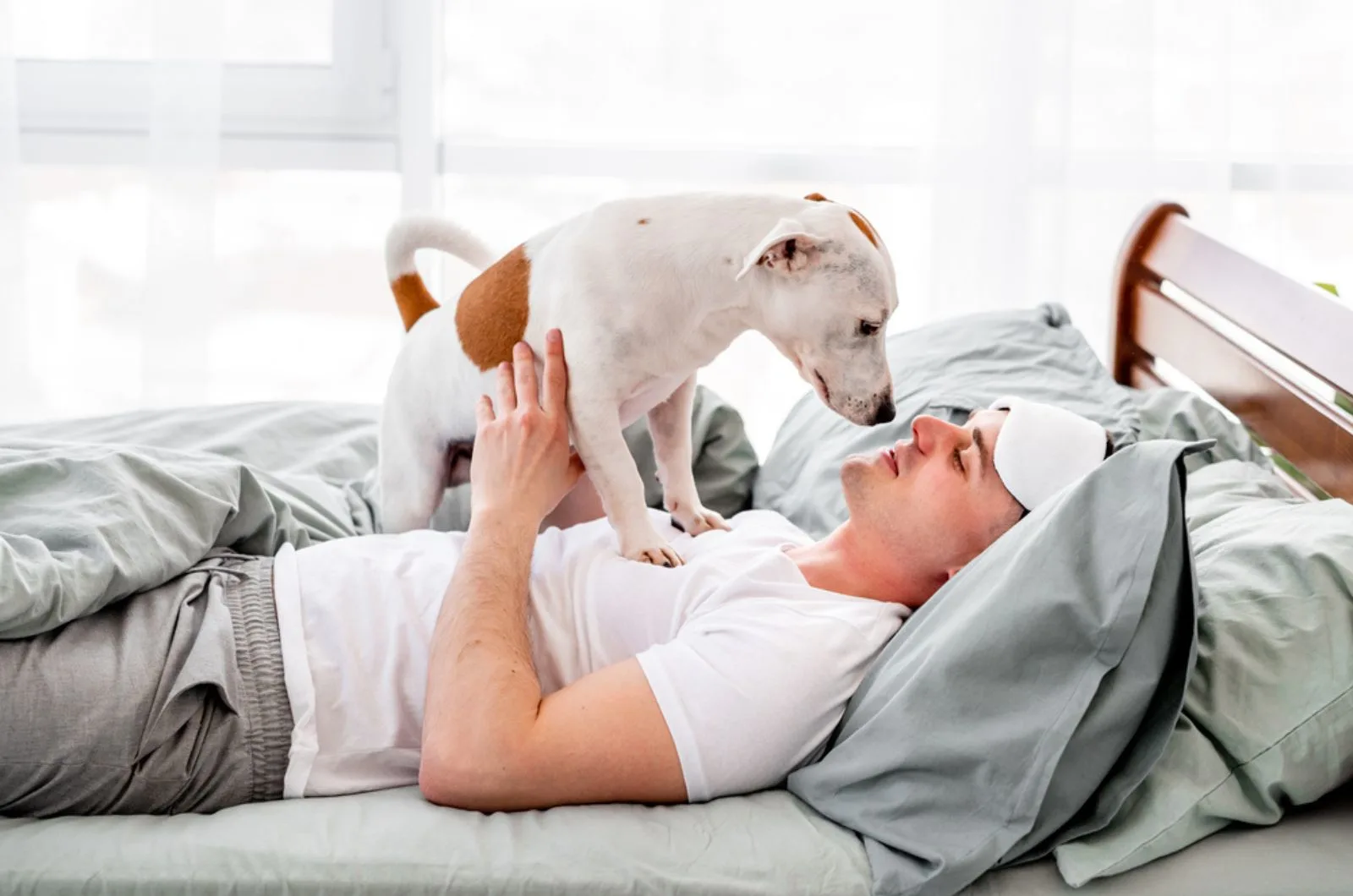 man playing with dog in  the bed