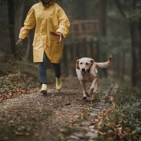 owner and dog running in the park