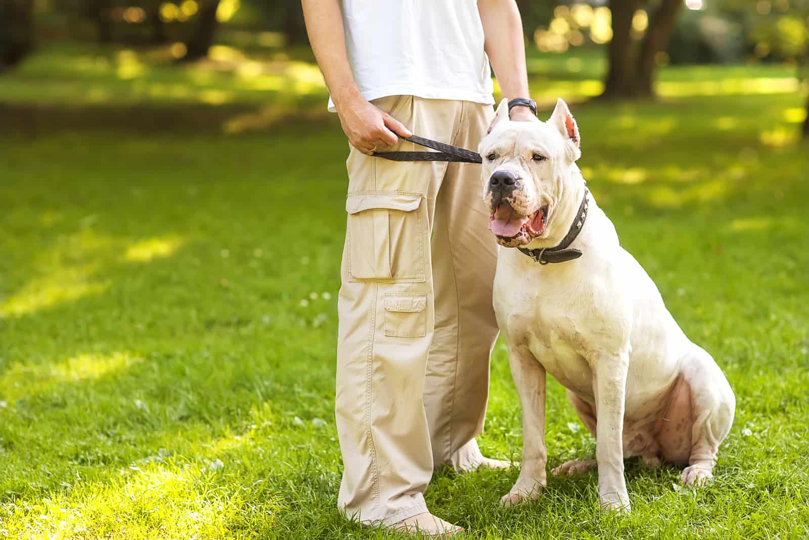 owner and dogo argentino 