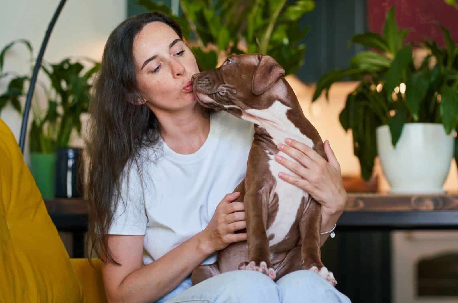 owner petting and hugging pitbull dog indoors