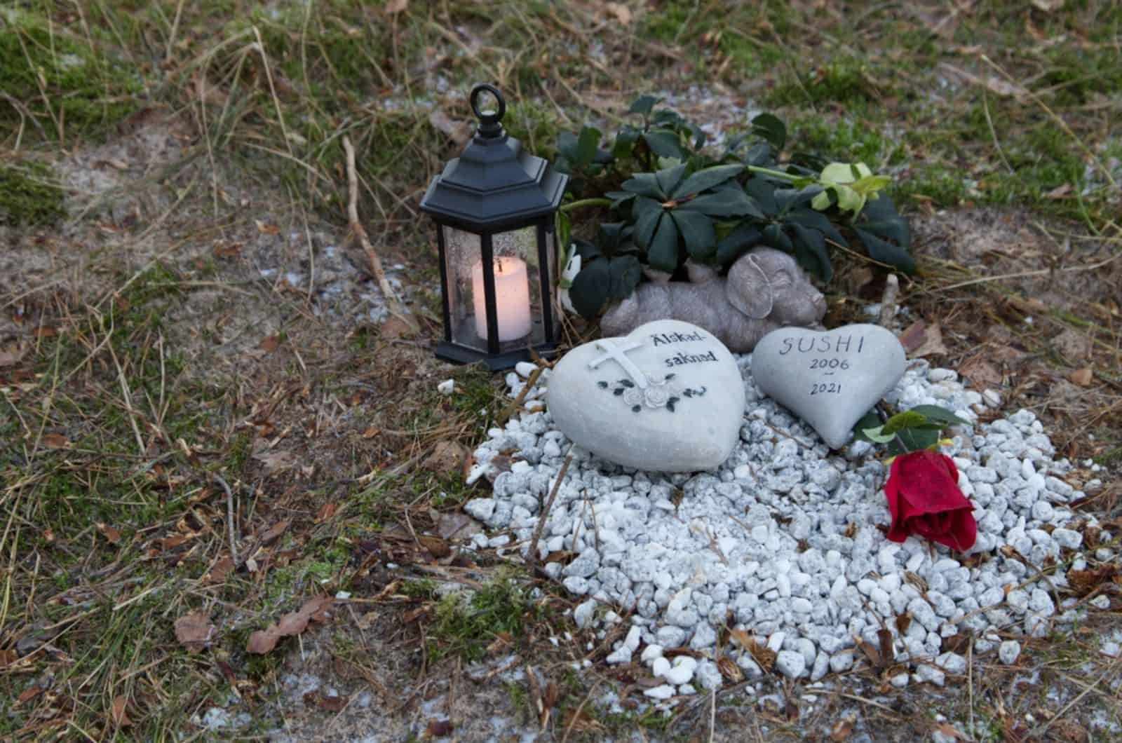 pet cemetery in forest