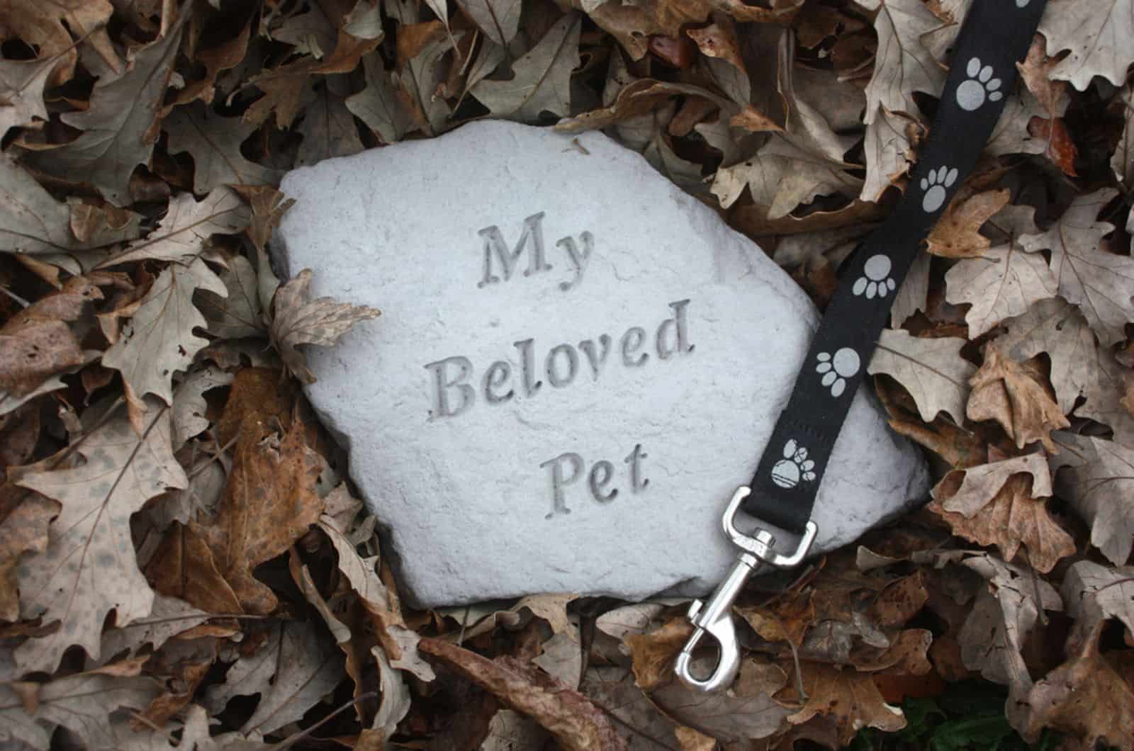 pet memorial stone surrounded by fall leaves