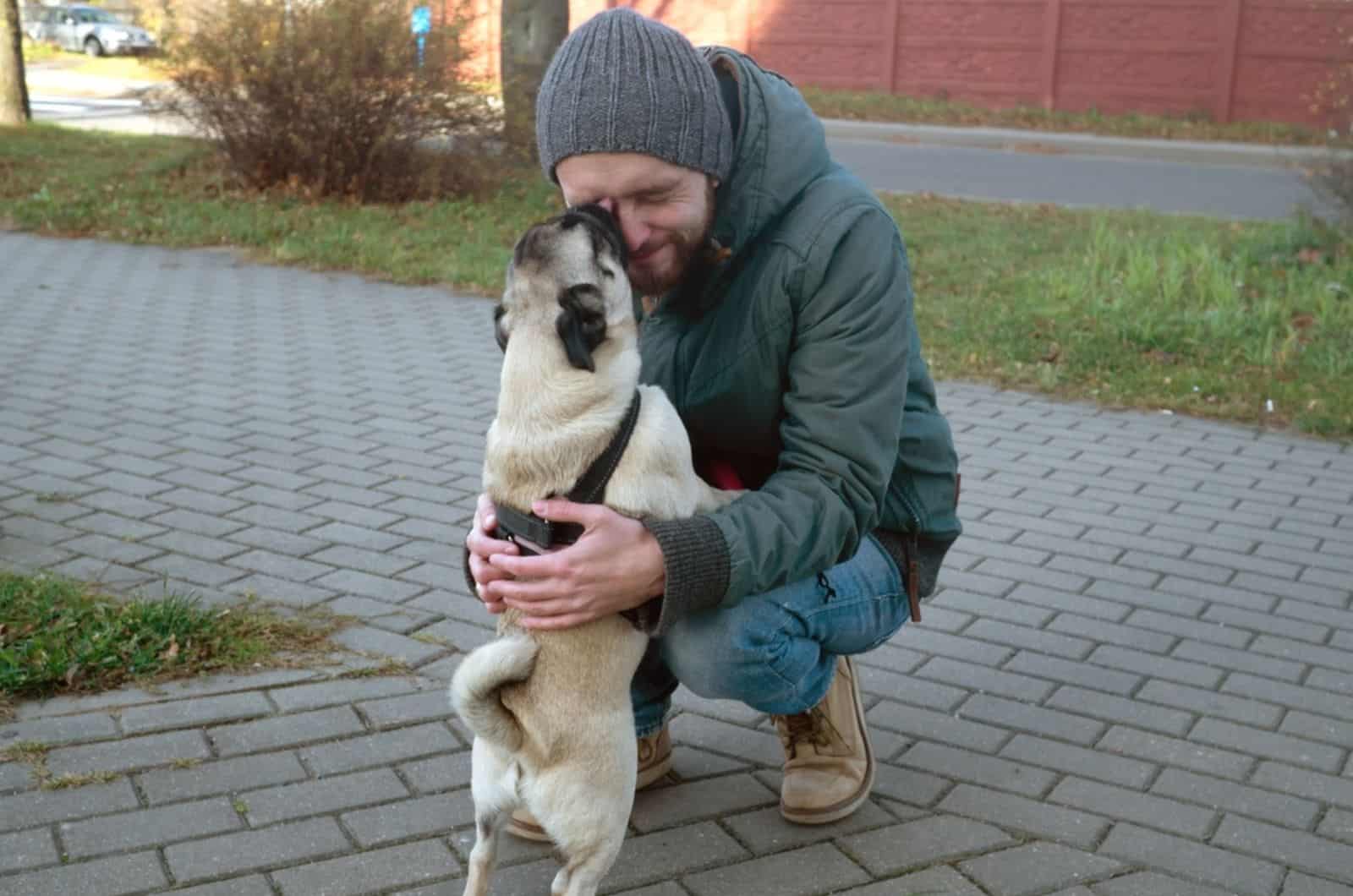 pug dog licks owner's face while walking outdoors