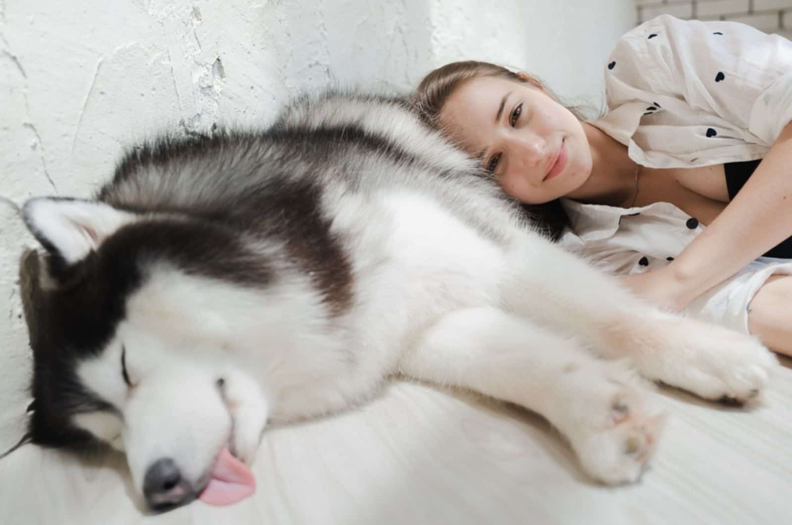 sleeping alaskan malamute and young woman lying on the floor