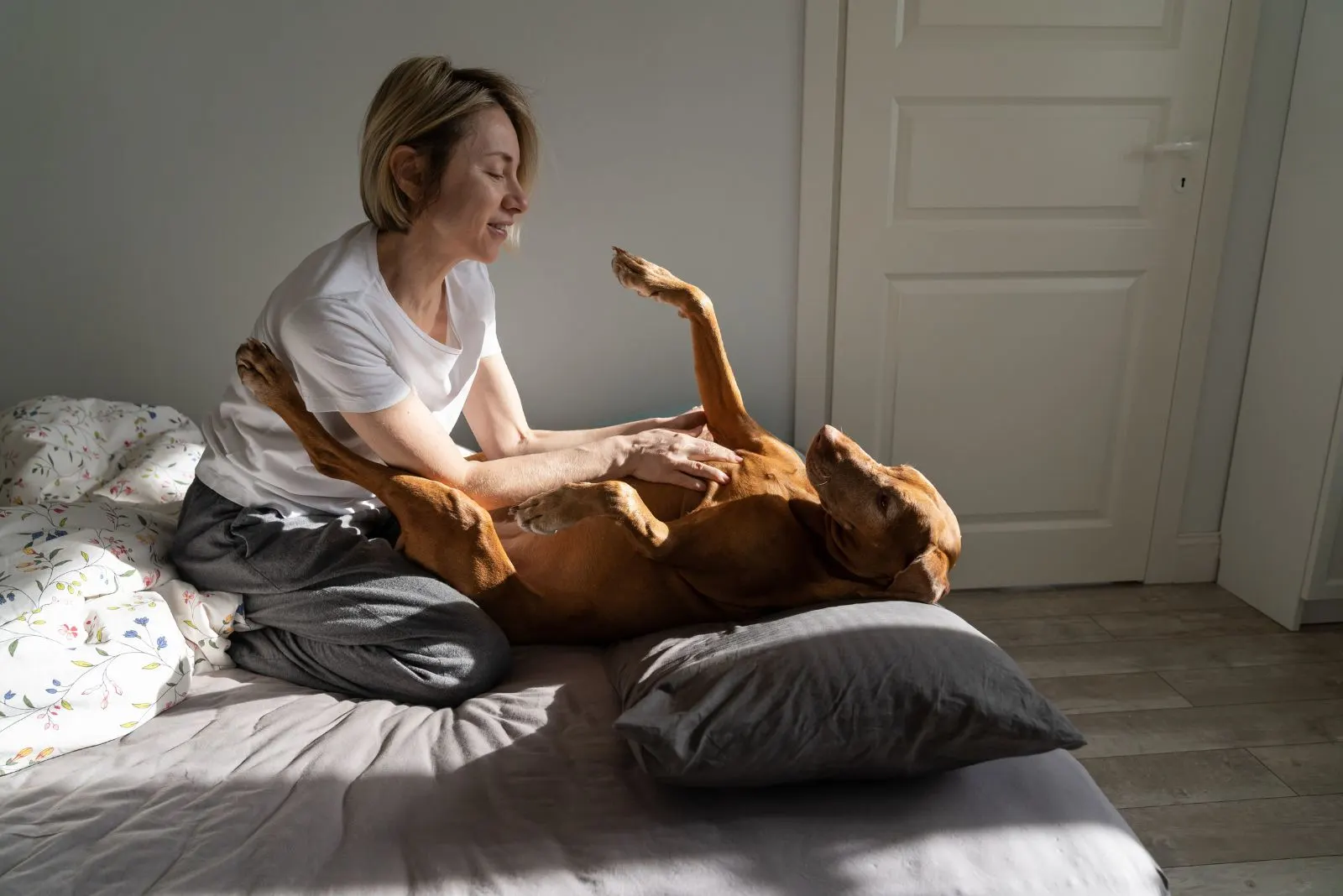 the girl strokes the dog's belly on the bed