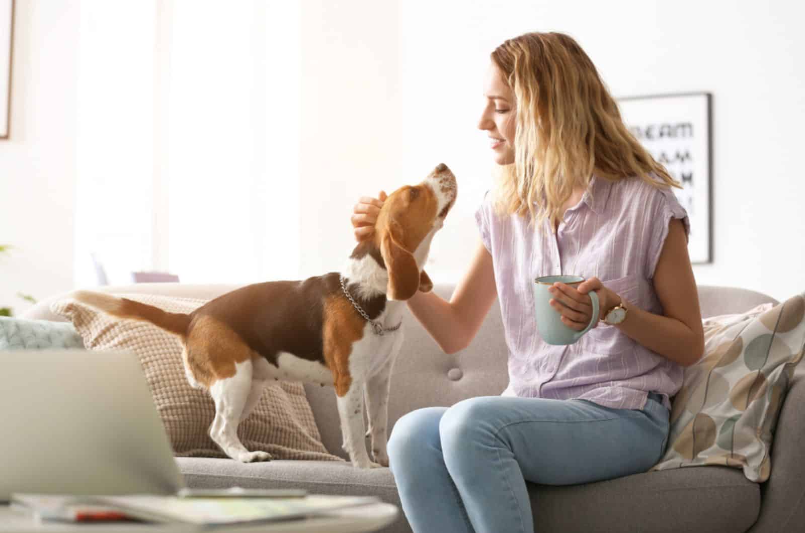 woman cuddling her beagle on the couch