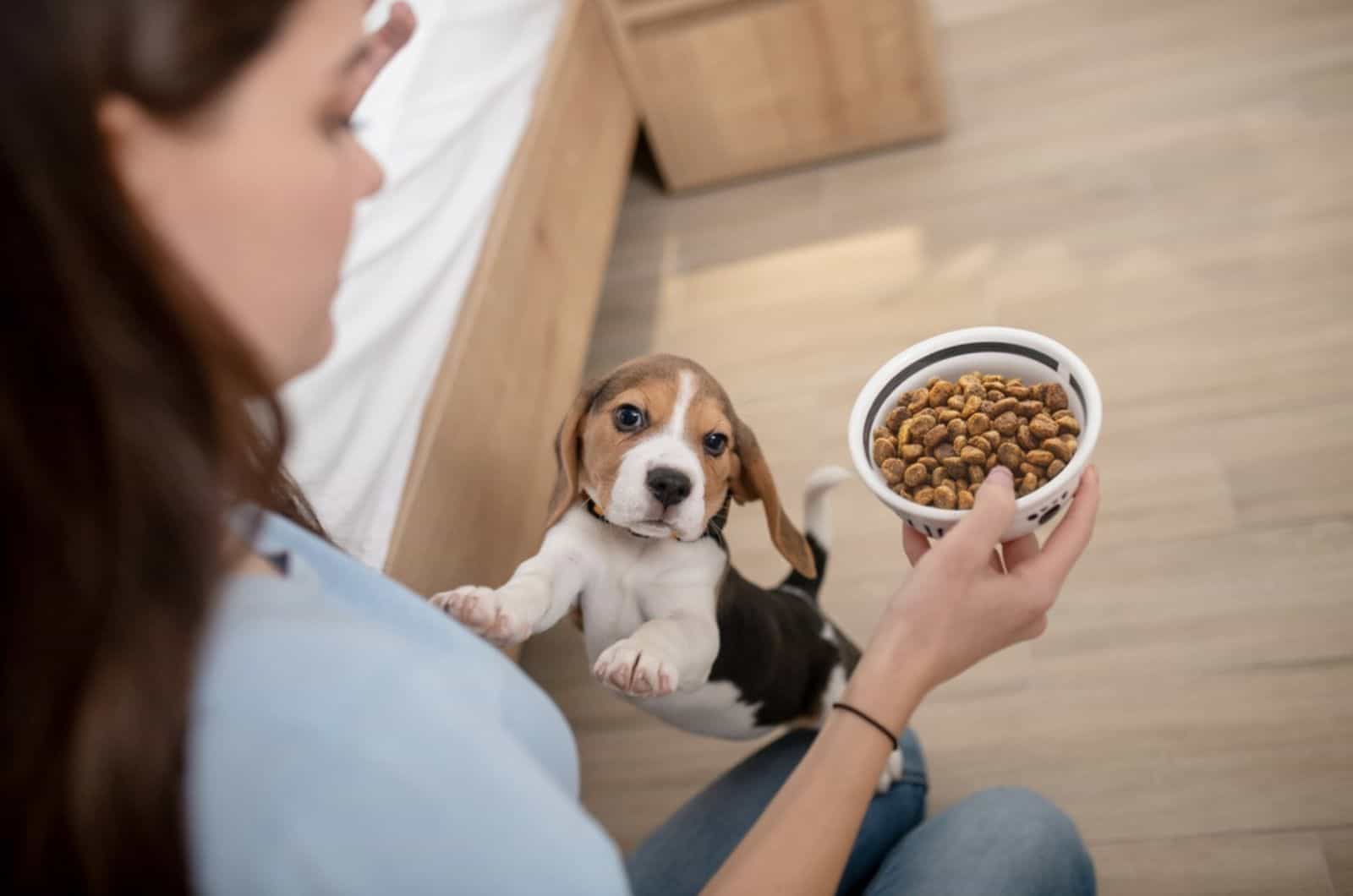 woman holding dog food to feed her puppy