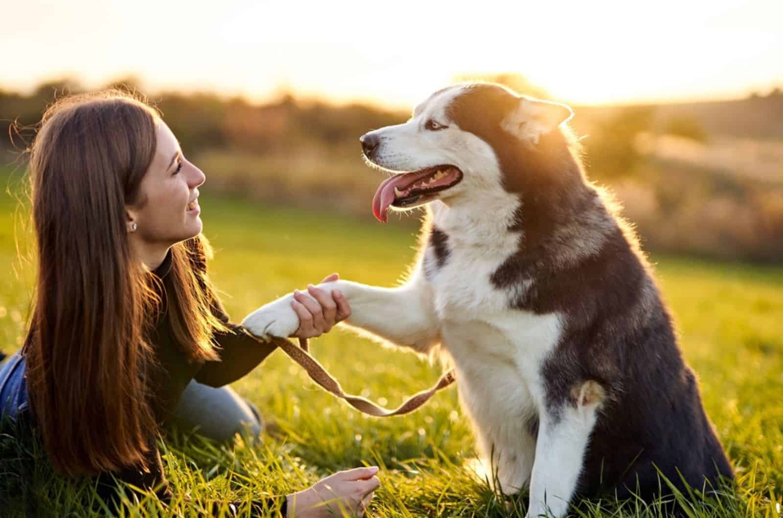 woman holding paw of her siberian husky while lying on he grass