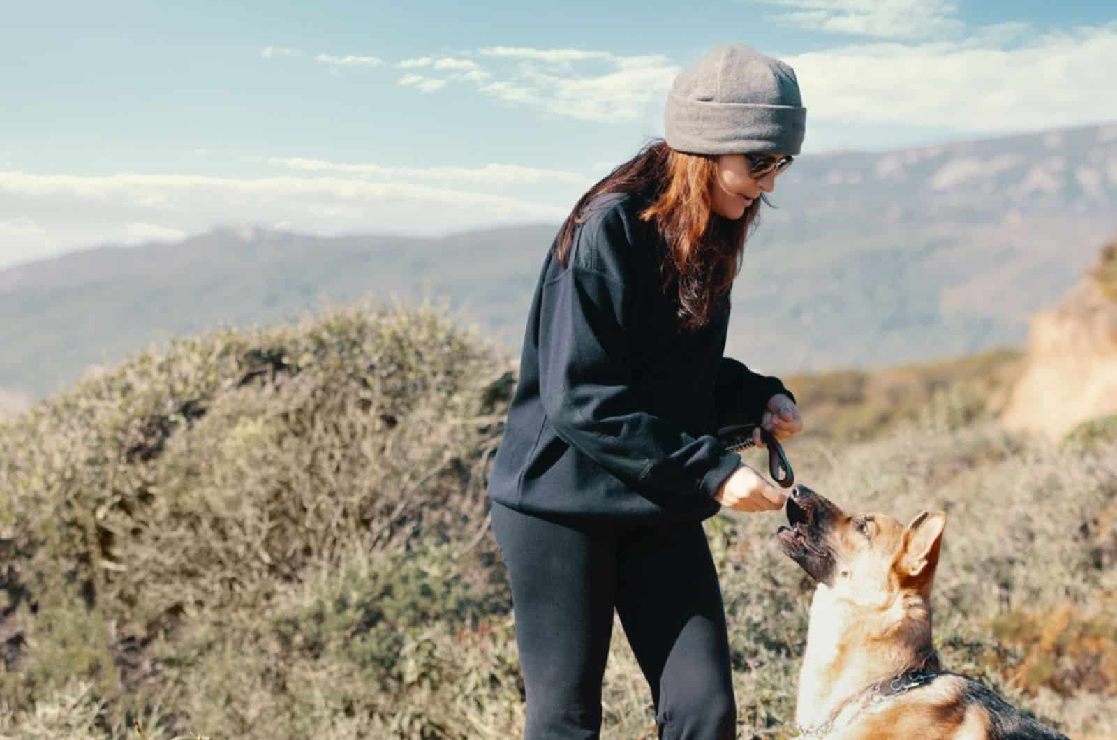 woman offering her german shepherd dog a treat during a training outdoors