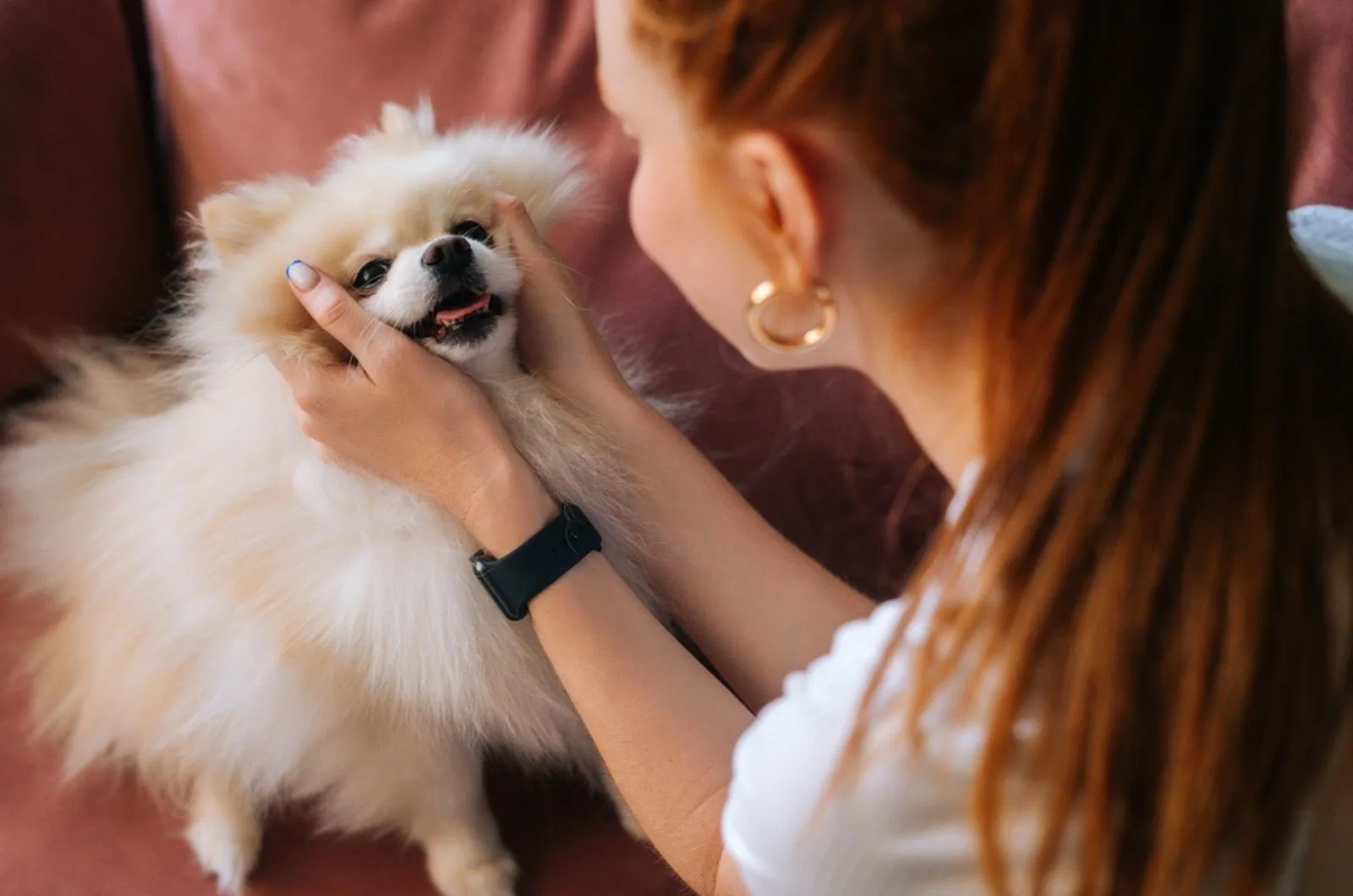woman playing with her dog at home